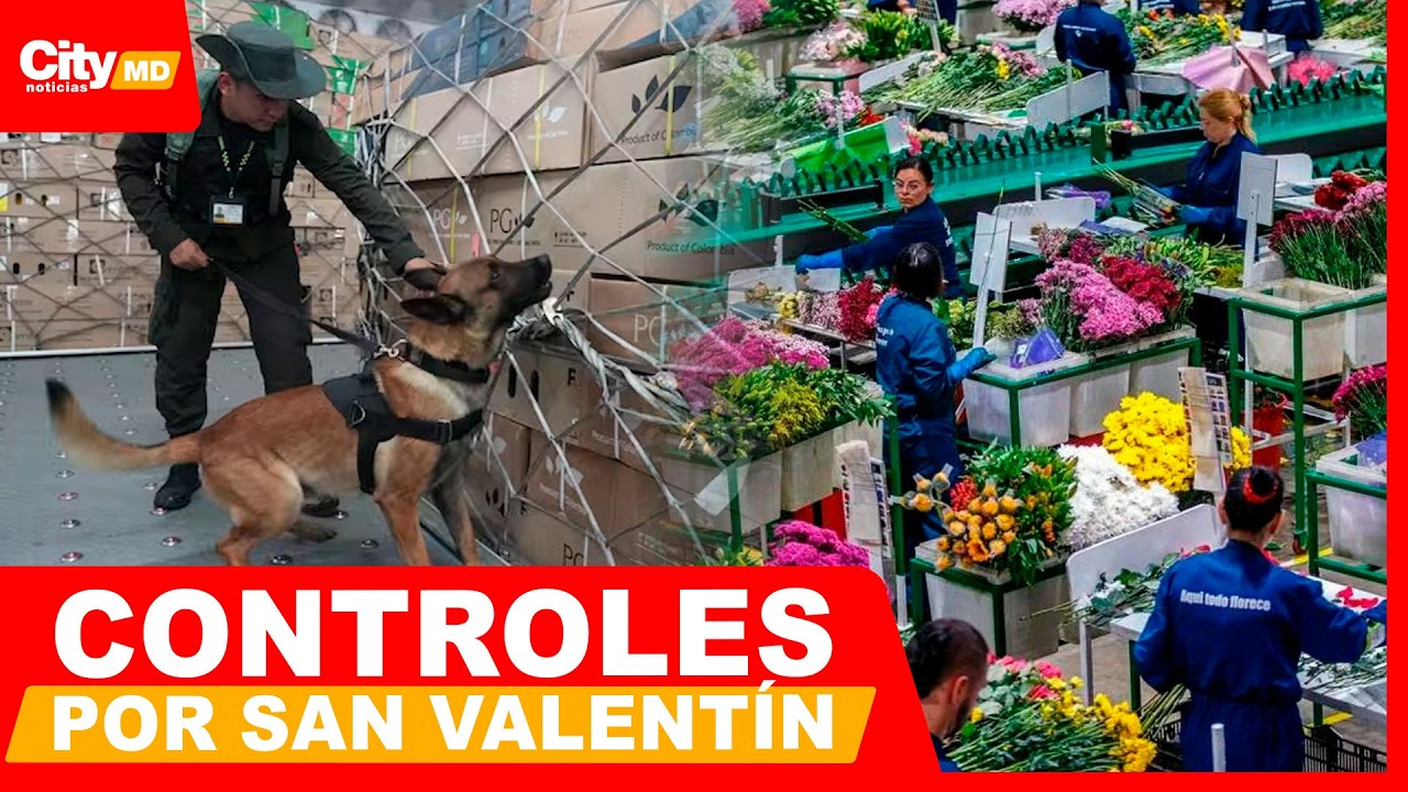 Plan Pétalo refuerza controles en El Dorado por exportación de flores | City Noticias Medio Día
