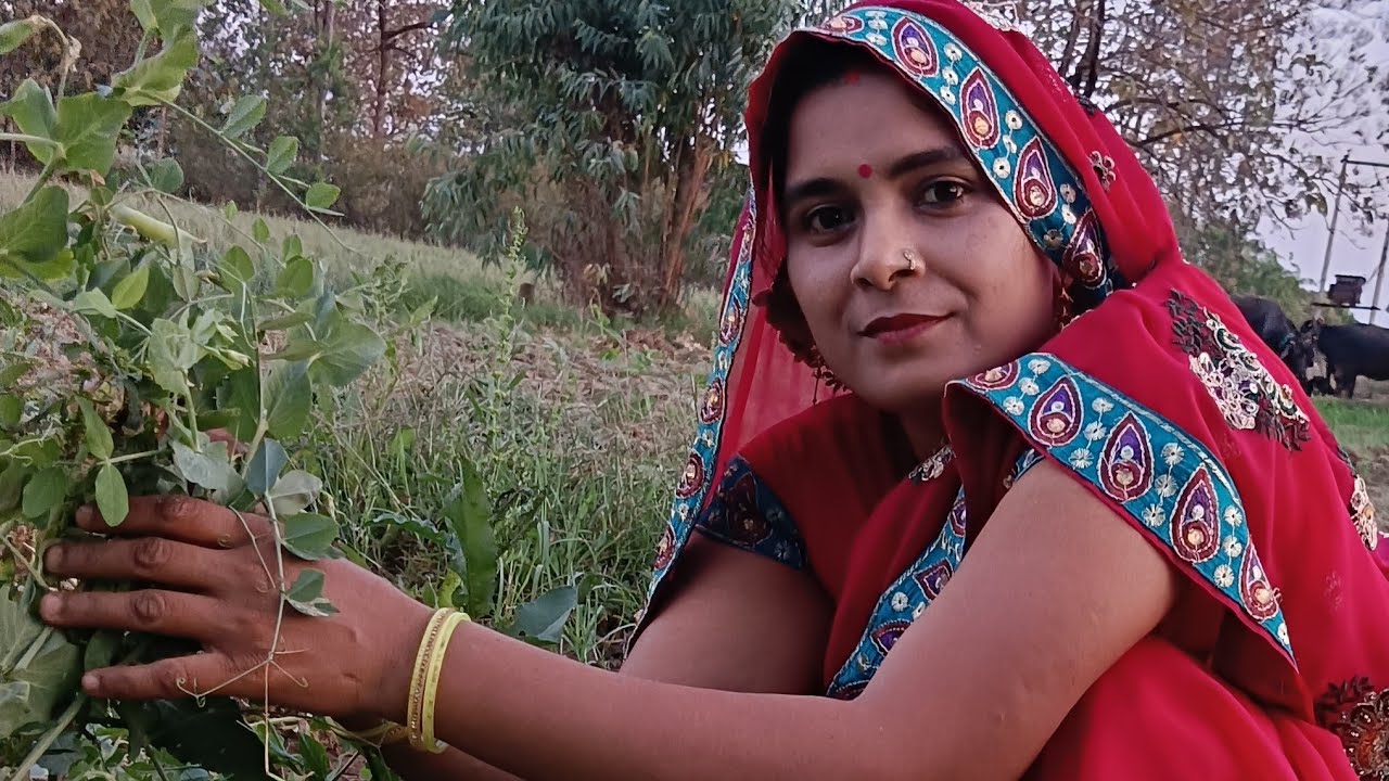 हमारे लाइव वीडियो में आप सभी का स्वागत है हर हर महादेव राधे राधे