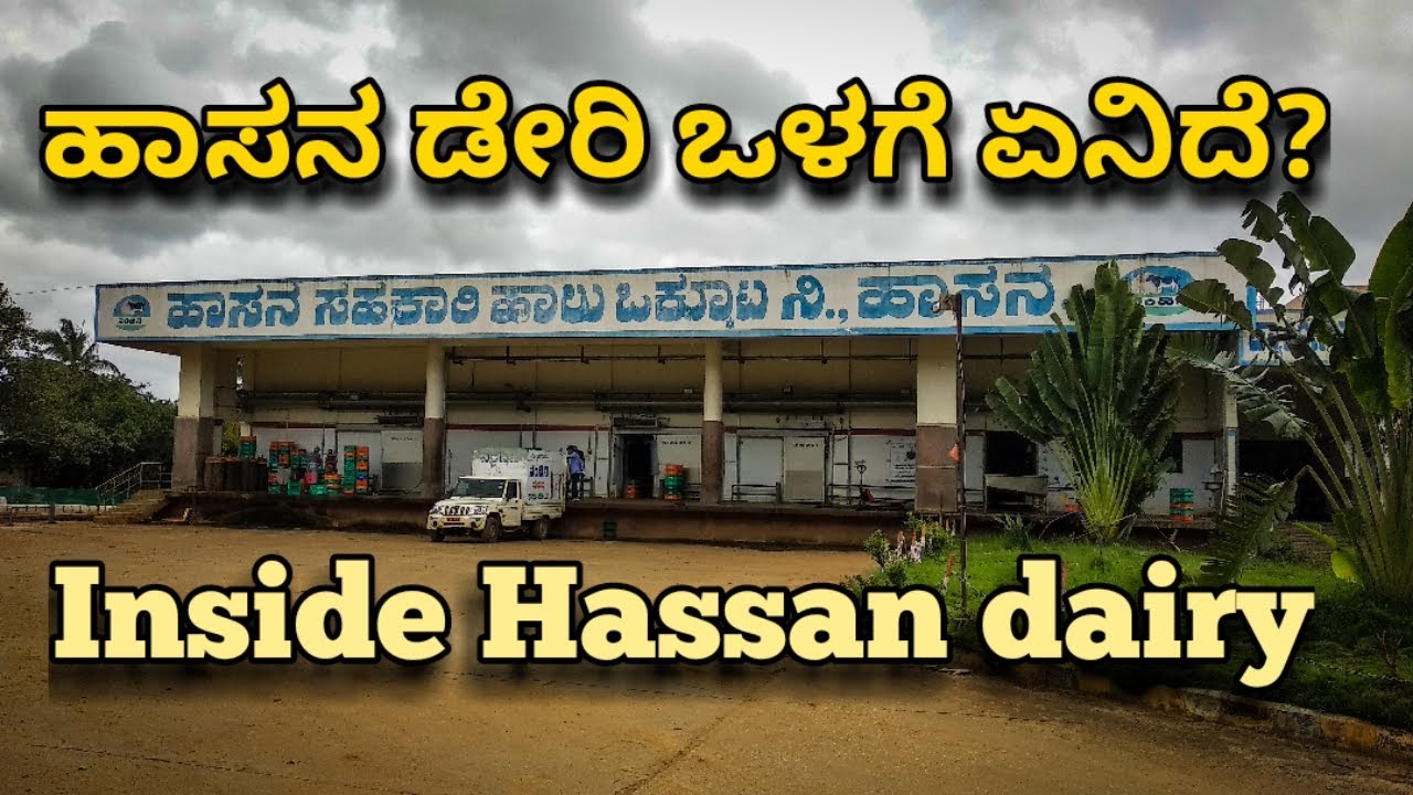 Inside Hassan dairy | ಹಾಸನ ಡೇರಿ ಒಳಗೆ ಏನಿದೆ? KMF | HAMUL | Deviprasad vlogs