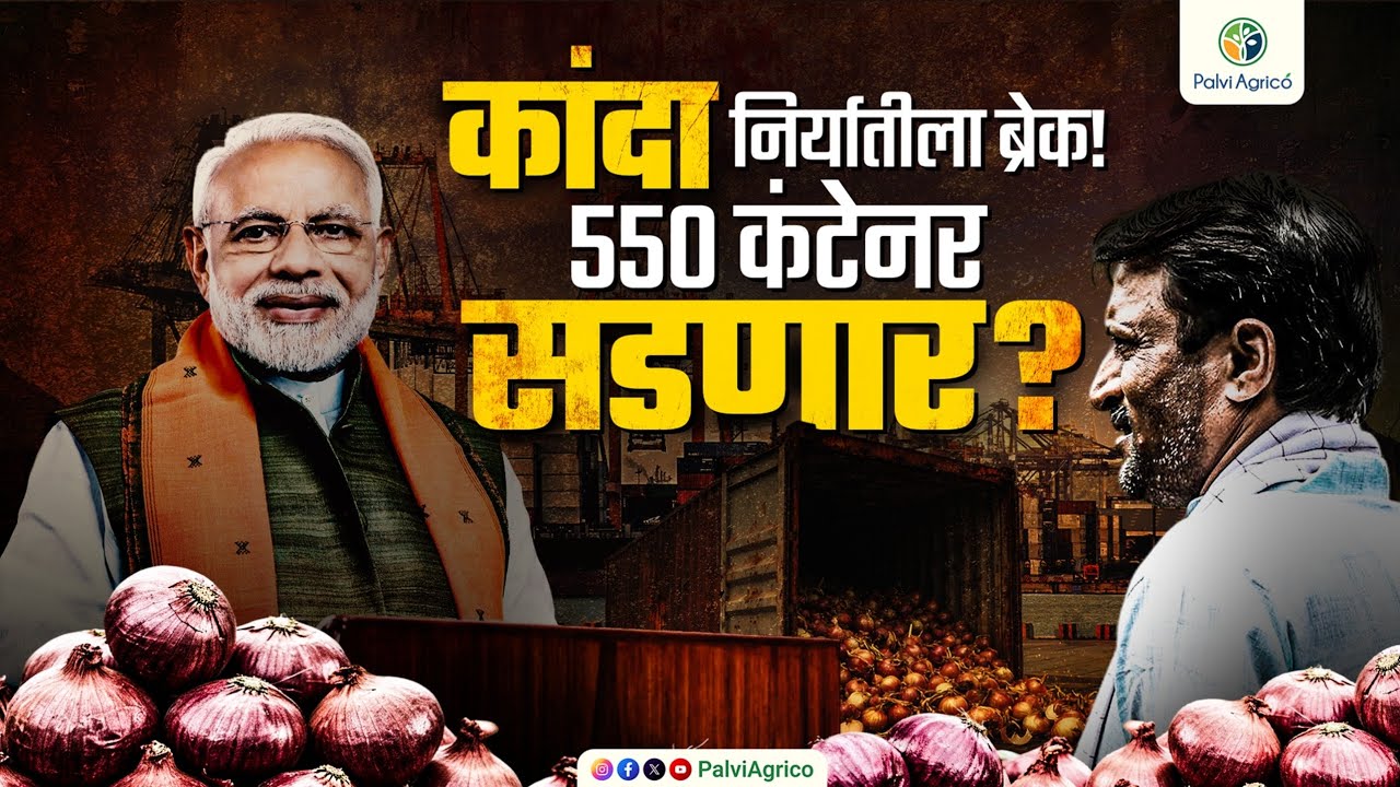 कांद्यावर युद्धाचे वादळ! २०,००० टन कांदा कंटेनर मध्ये अडकला! ४२ कोटींचा कांदा जाग्यावरच सडणार का? 