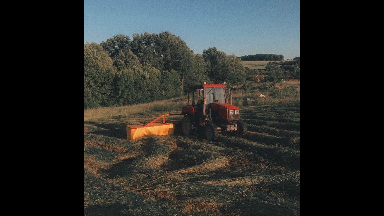FarmVlog #13 Belarus 320.4 sečení  (ZTR 178)
