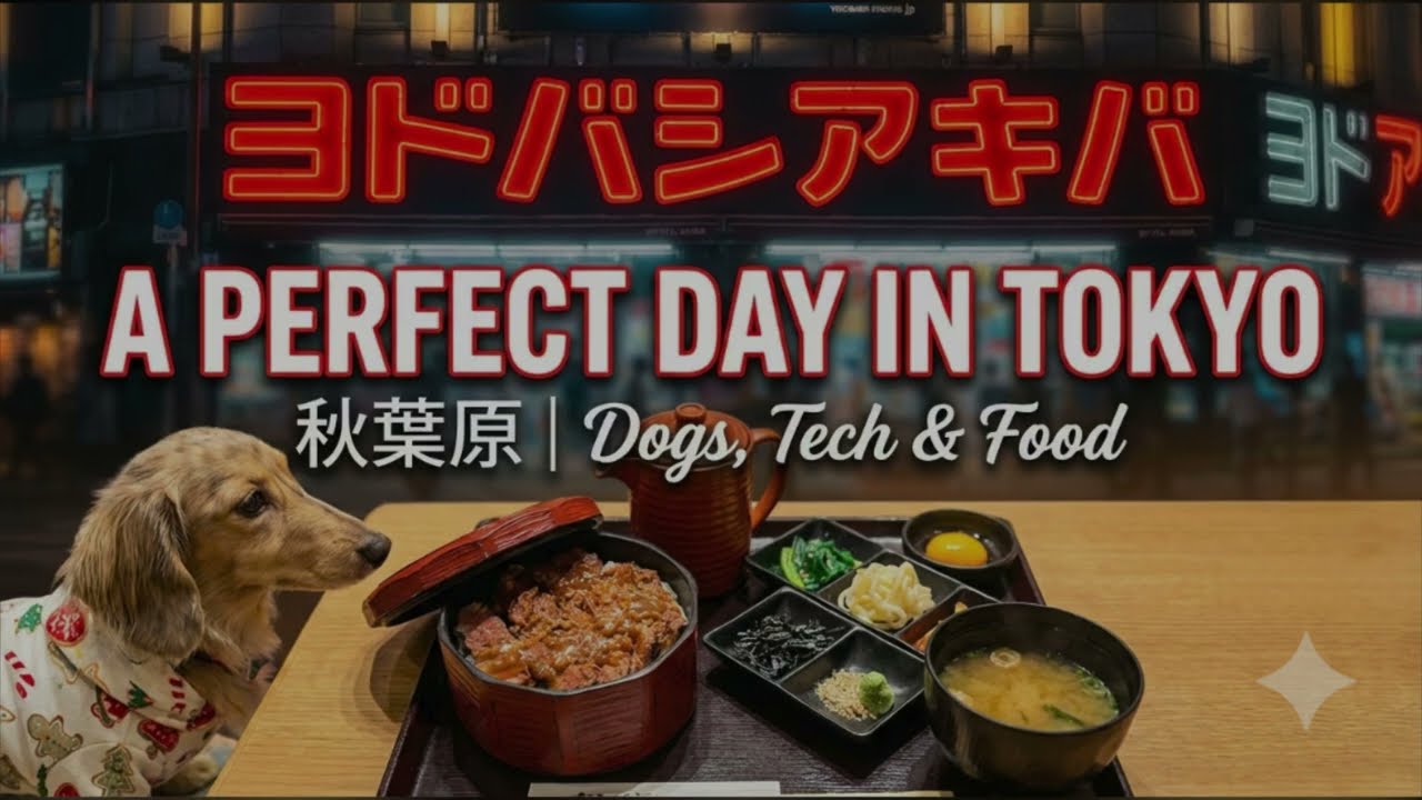 Tokyo Vlog: Dog Cafe to Yodobashi Akiba Food Tour 🐕🍱 | Hunde, Technik & Essen