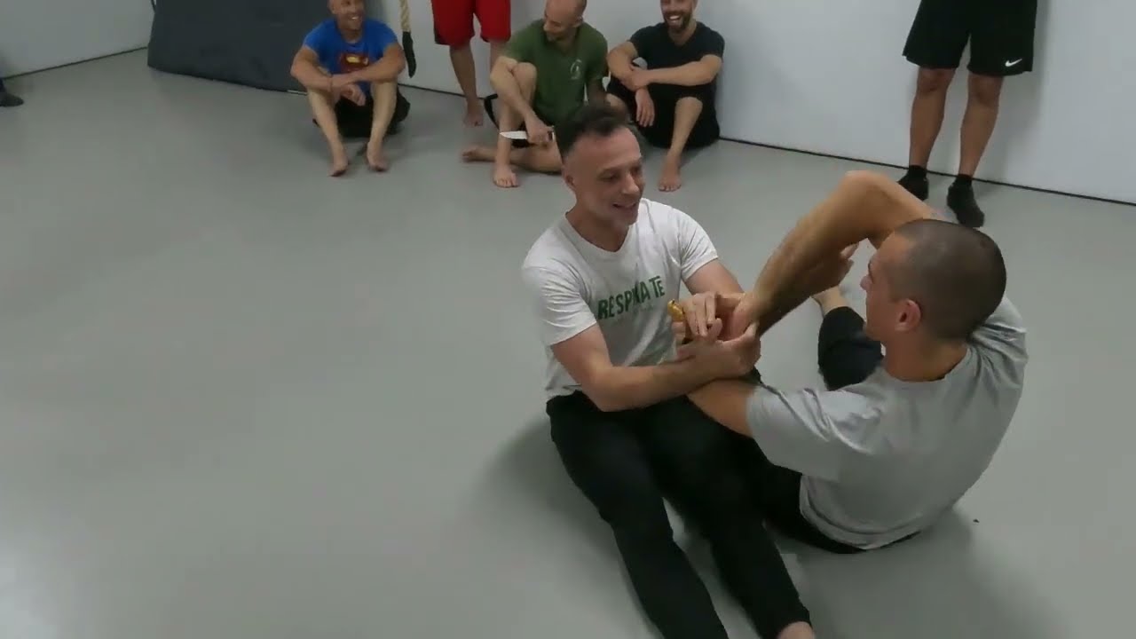 Systema seminar with Arend Dubbelboer