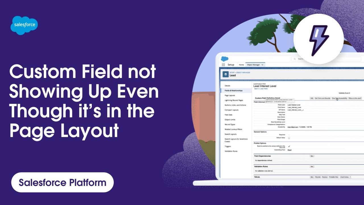 Custom Field Not Showing Up Even Though it's In the Page Layout