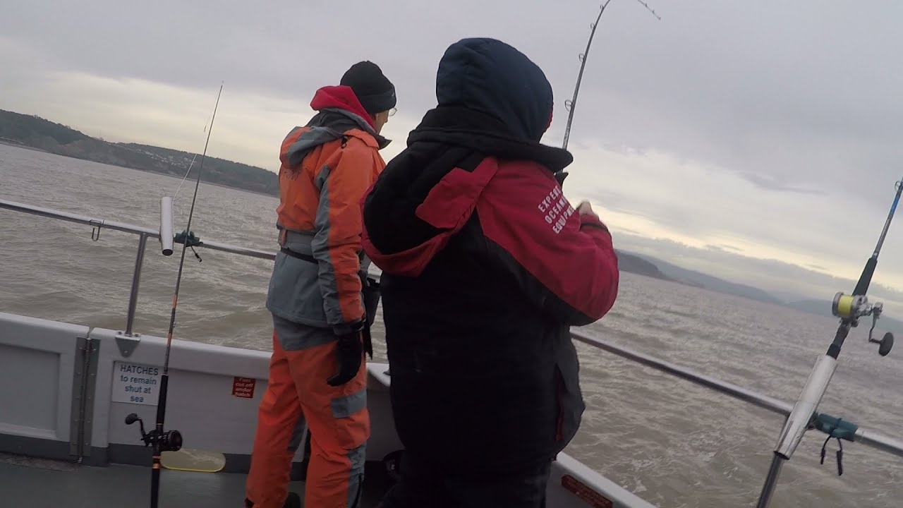 Mixed fishing in the Bristol Channel