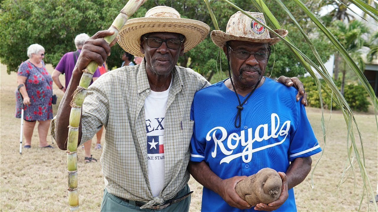 Farmer's Life On The Plantation (2019) - St Eustatius