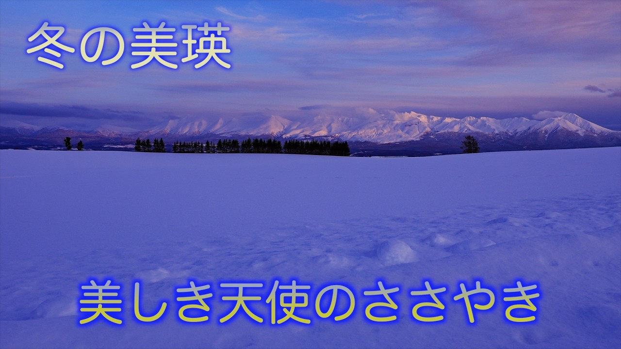 美瑛の丘をめぐる旅～2026冬編～後編