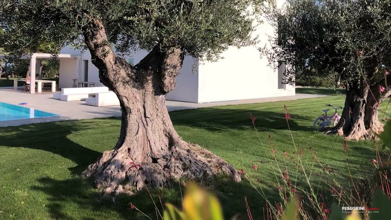 Villa e giardino ispirati al Salento
