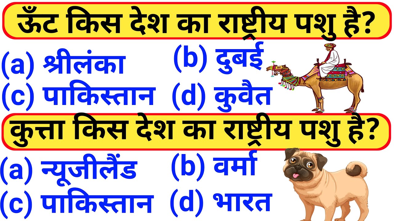 Most Brilliant Gk Question,Gk Question,gk,Gk ke sawal,Rapid Mind,gk adda,Gk in hindi,जीके, गक,part23