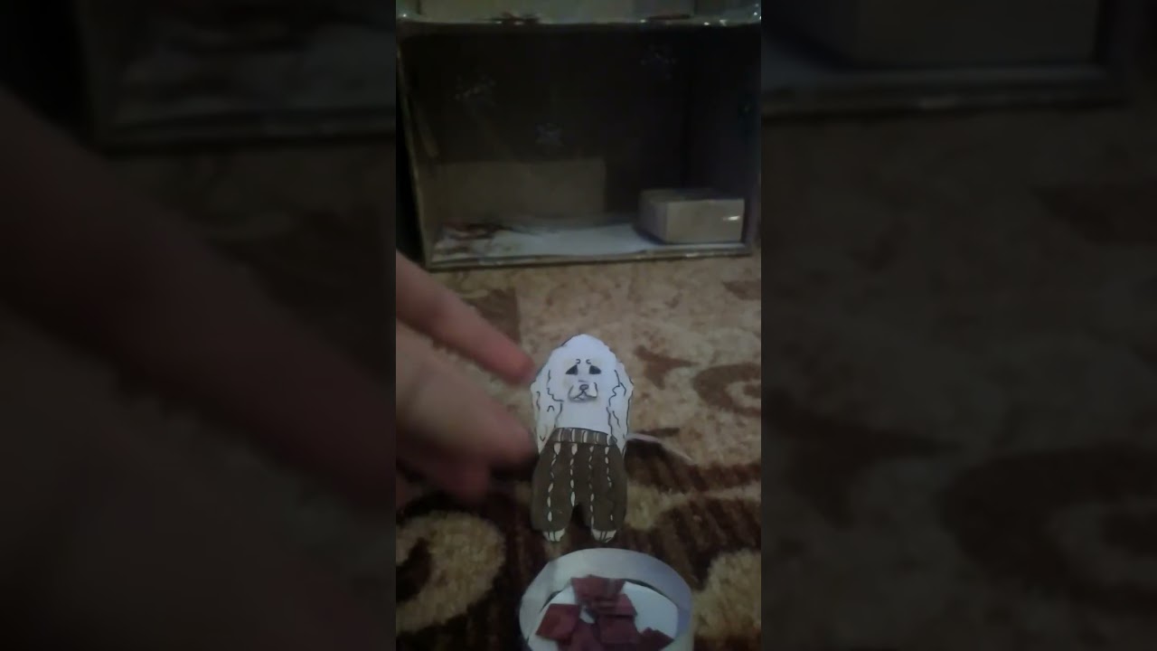 утренний влог с Харди. #бумажныесобаки