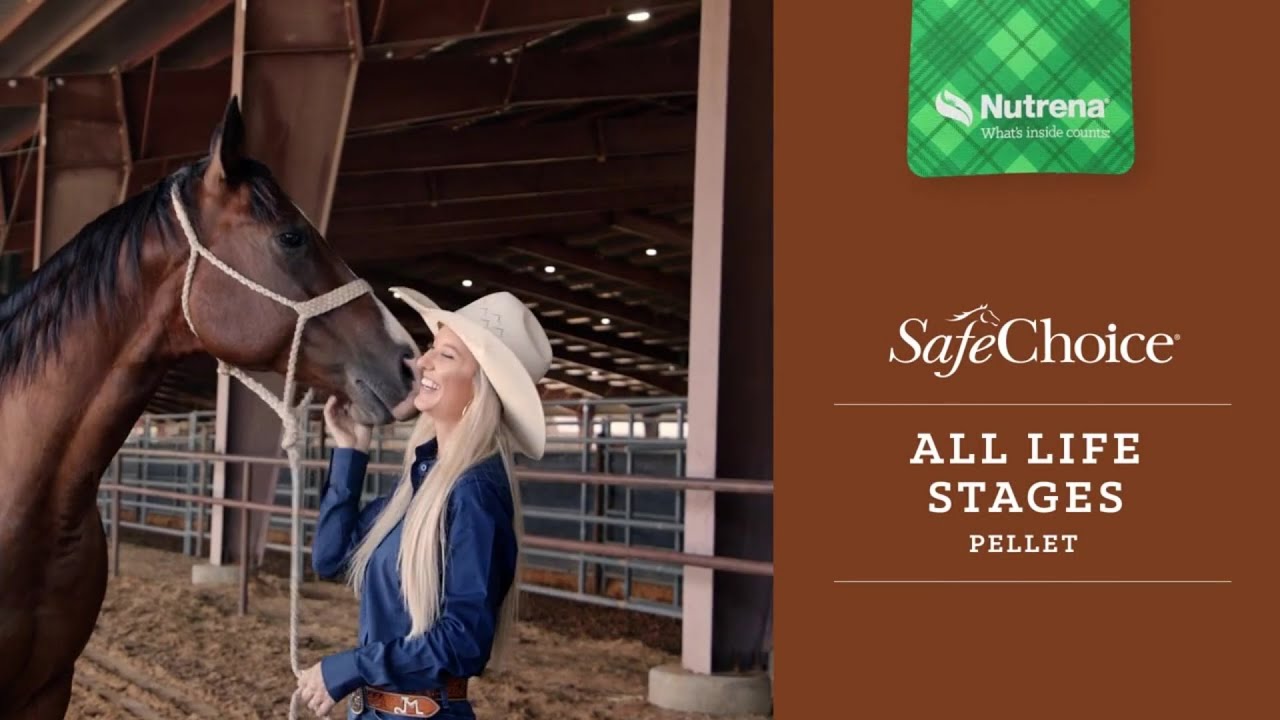 Nutrena SafeChoice All Life Stages