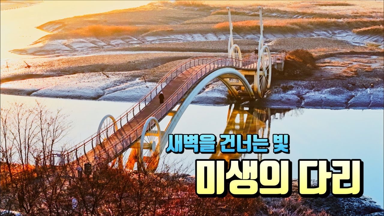 시흥 미생의 다리 일출 드론 4K｜고요한 새벽, 도시가 깨어나다
