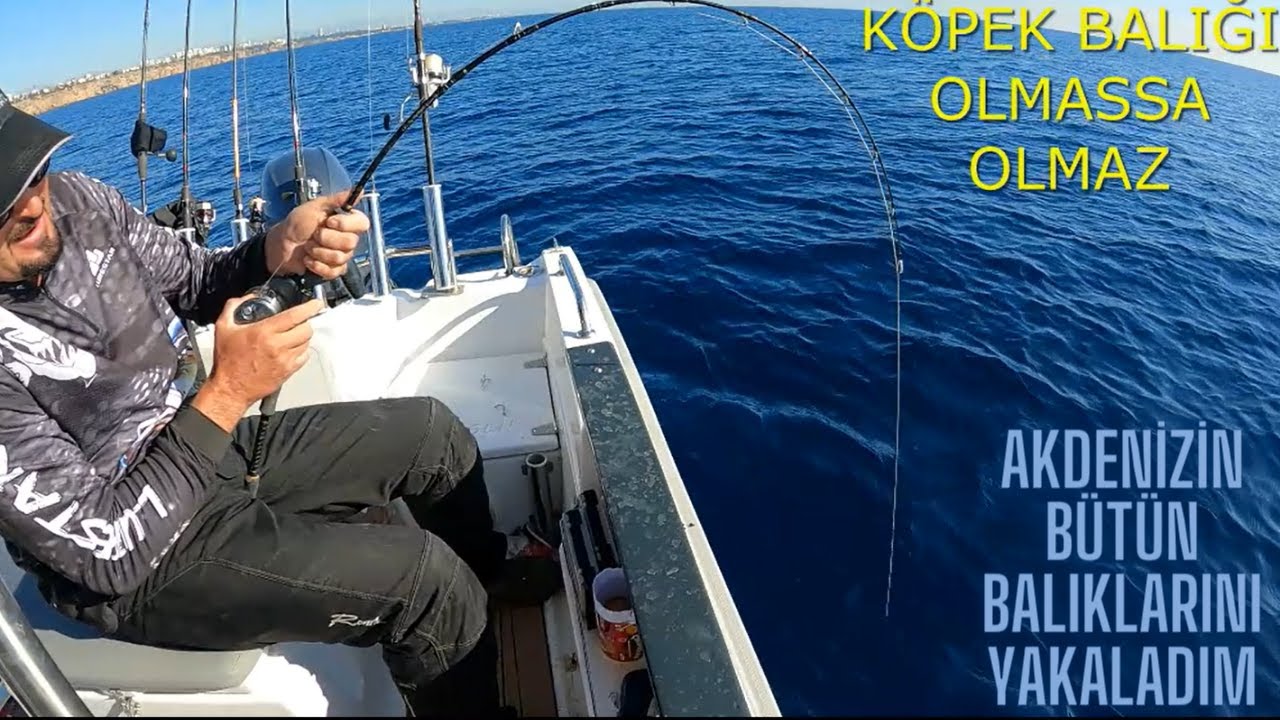 4 farklı balık yakaladım