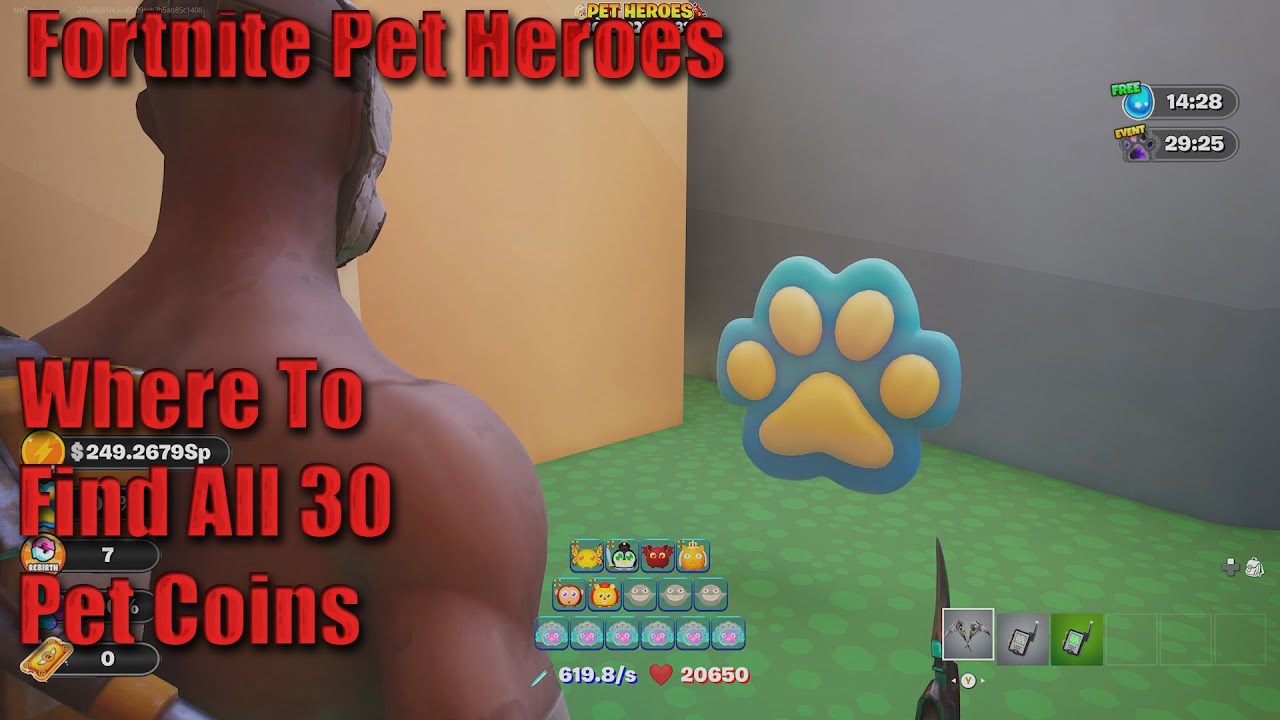 Fortnite Pet Heroes Where To Find All 30 Pet Coins Also The Special Pet