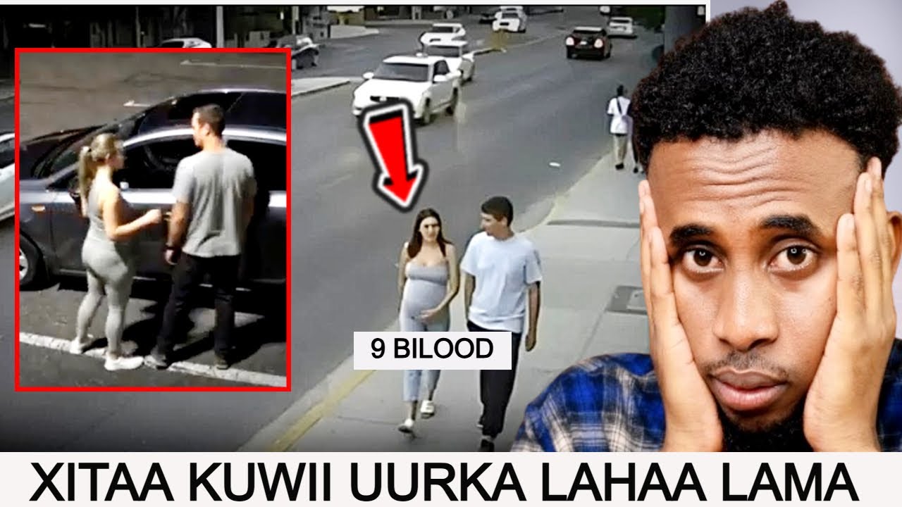 Kaamirooyinka Wadadu  Waa iLaaliyaha DHibanayaashu Bal Wakaase inkir Danbigaga