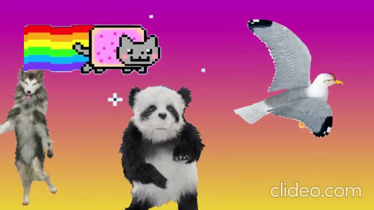 Danse dr&ocirc;le 10min