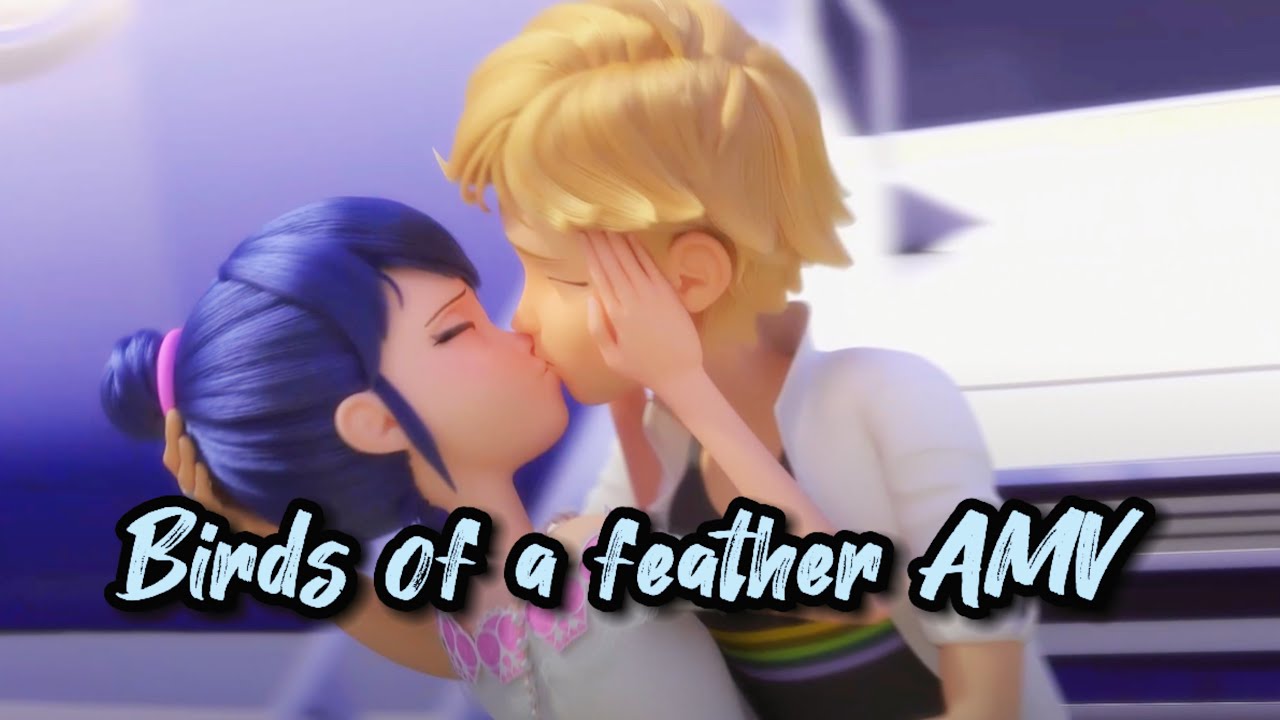 Birds of a feather - Miraculous Ladybug AMV