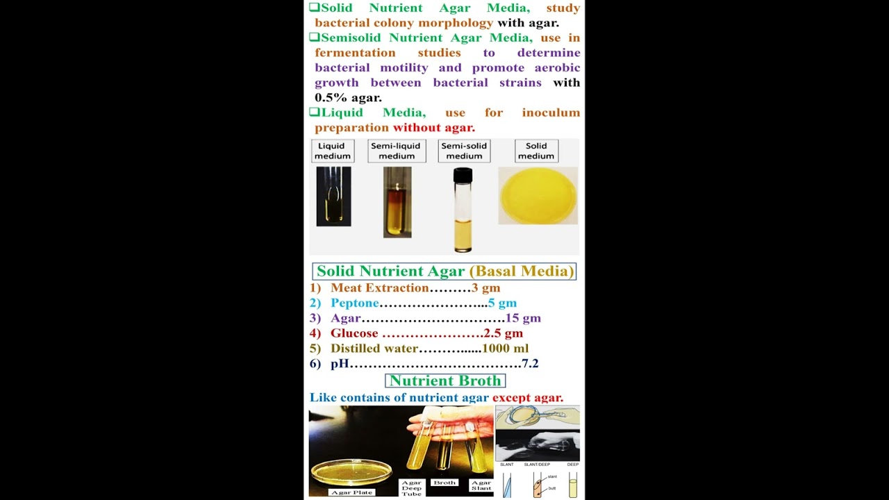 Different between Solid, Semisolid and Liquid Media    