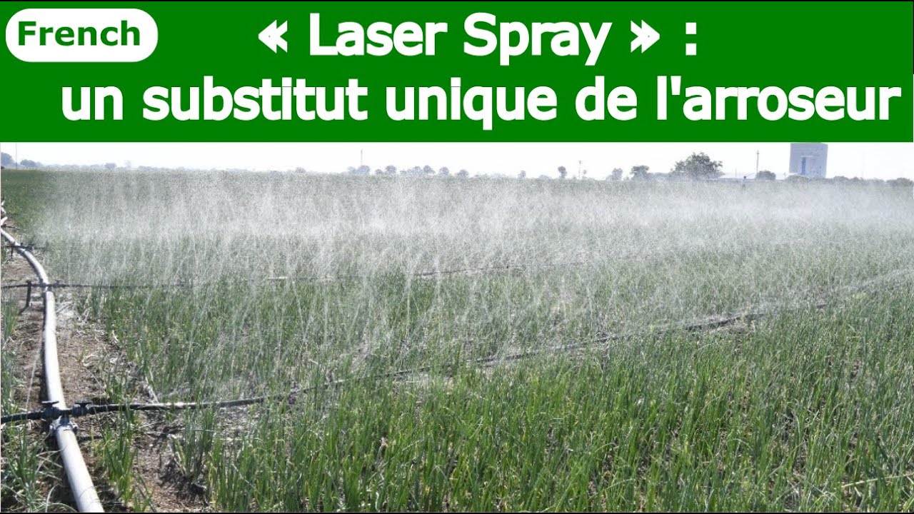 French | « Laser Spray » : un substitut unique de l'arroseur | Rainpipe / Rain hose