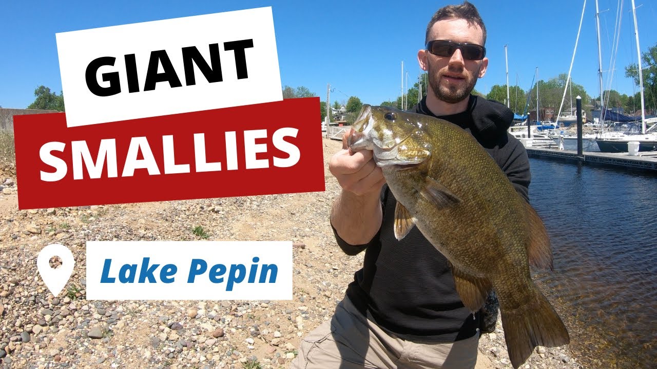 Shore Fishing Lake Pepin with Swim baits | Huge Smallmouth Bass + BONUS FISH!