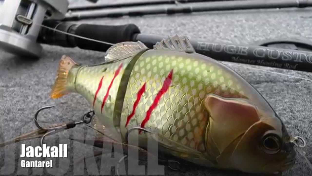 Jackall Gantarel - Vienna City Fishing