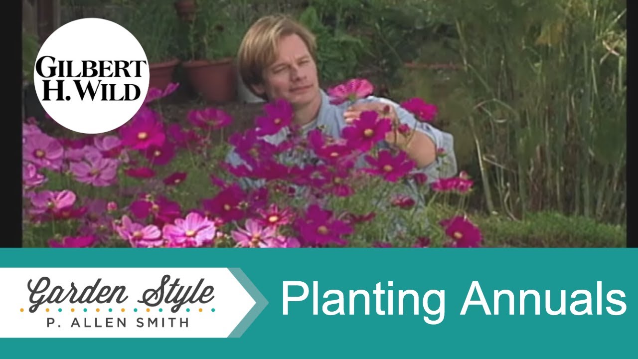 Planting Annuals  | Garden Style (126)