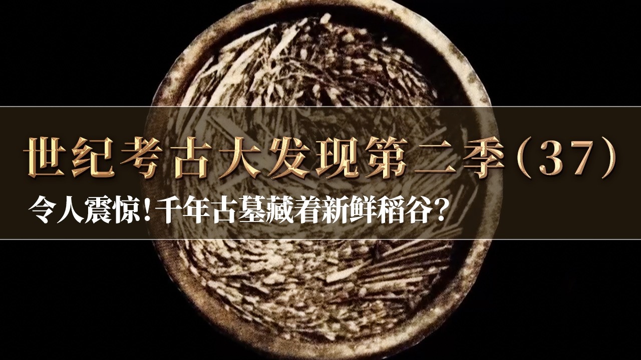 千年古墓中发现一把新鲜稻谷 66枚竹简揭秘一个著名的盛世！《探索&middot;发现》《世纪考古大发现》第二季（37）