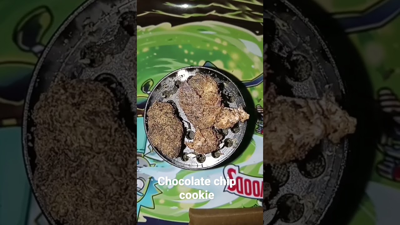 chocolate chip cookie strain review