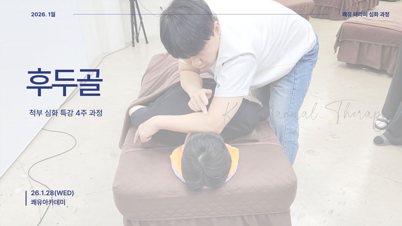 척부 심화 특강 1기 - 후두골(20260128)