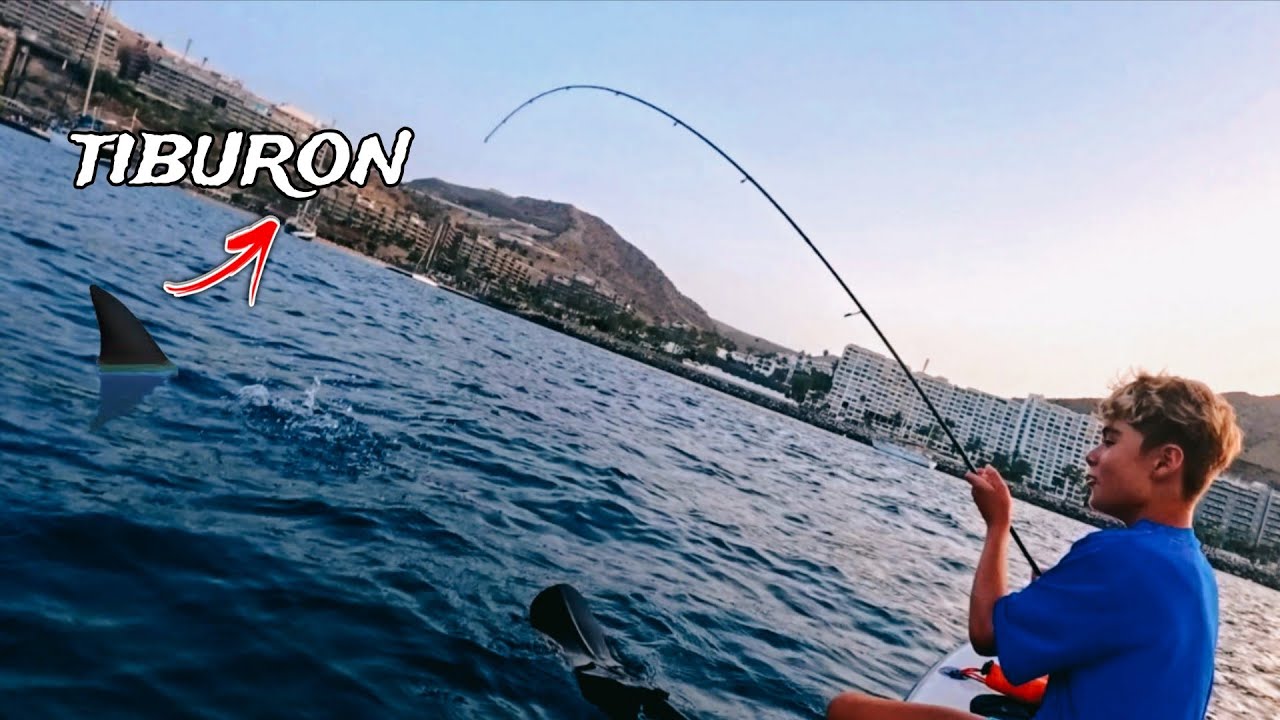 Pescando Muchas CAPTURAS Desde Paddle en verano