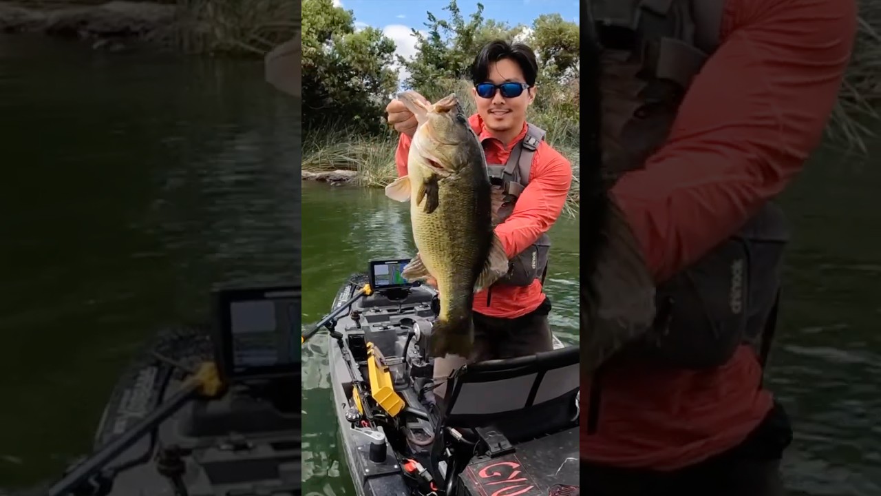 PowerBait Pit Boss = BIG Bass🔥