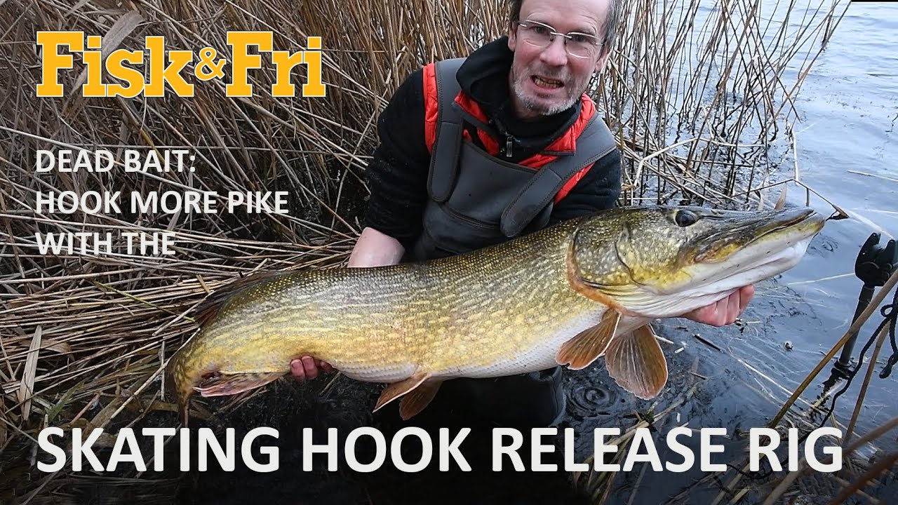 DEAD BAIT: HOOK MORE PIKE WITH THE SKATING HOOK RELEASE RIG