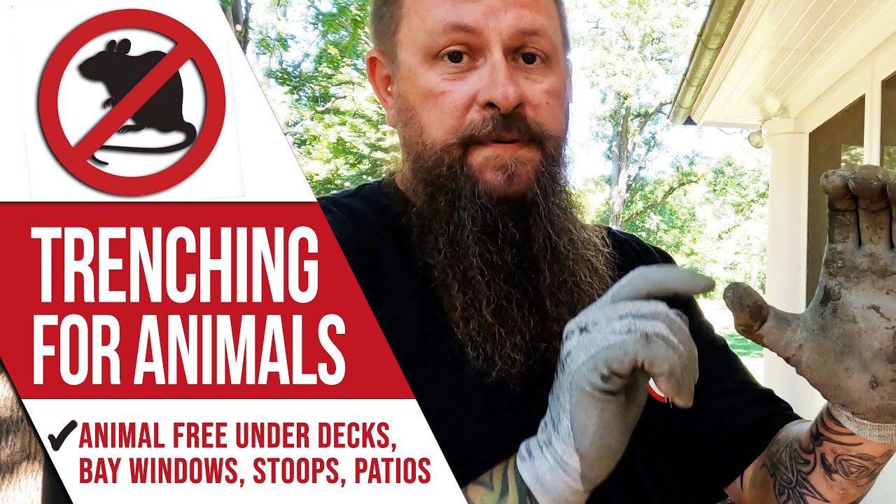 How To Properly Animal Proof Your Deck, Patio or Bay Window or Stoop