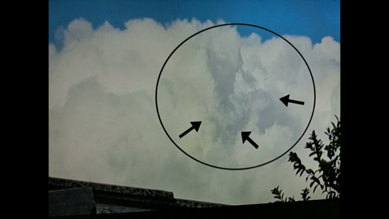 pareidolia 4