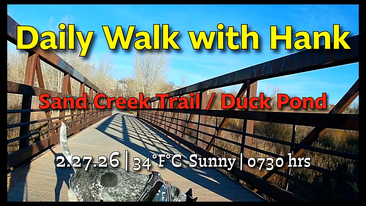 Daily Neighborhood Walk with Hank | Sand Creek Trail | Duck Pond at 7:30AM ❄️☀️