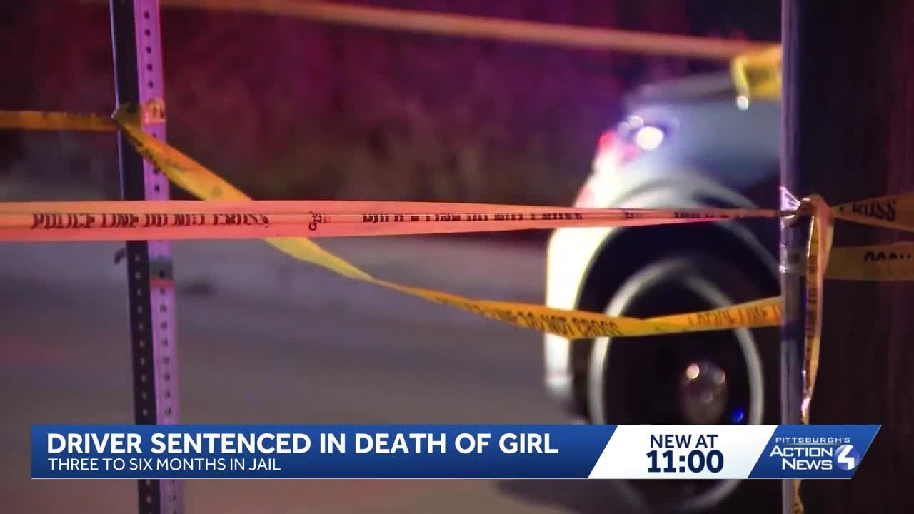 Drunk driver who fatally struck 11-year-old girl from Harrison to serve months in prison