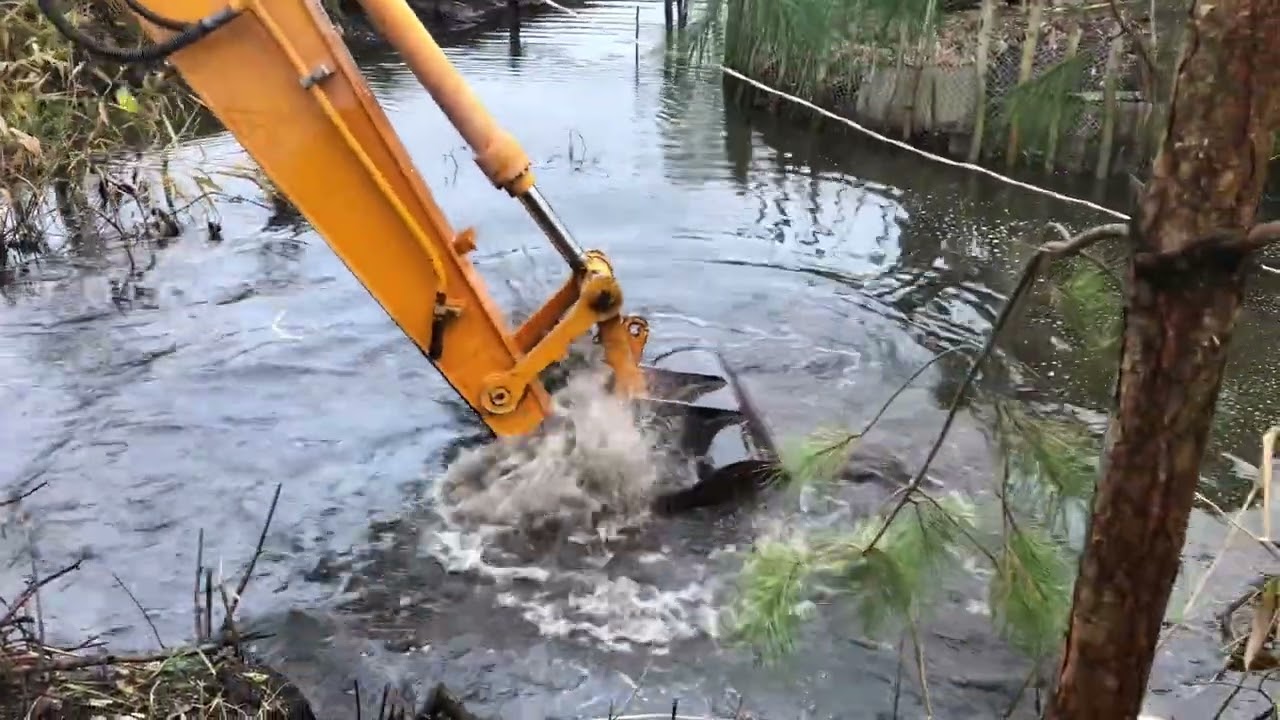 Укріплення берега вербою🌳🌳.Чистка ставка☝️☝️💦
