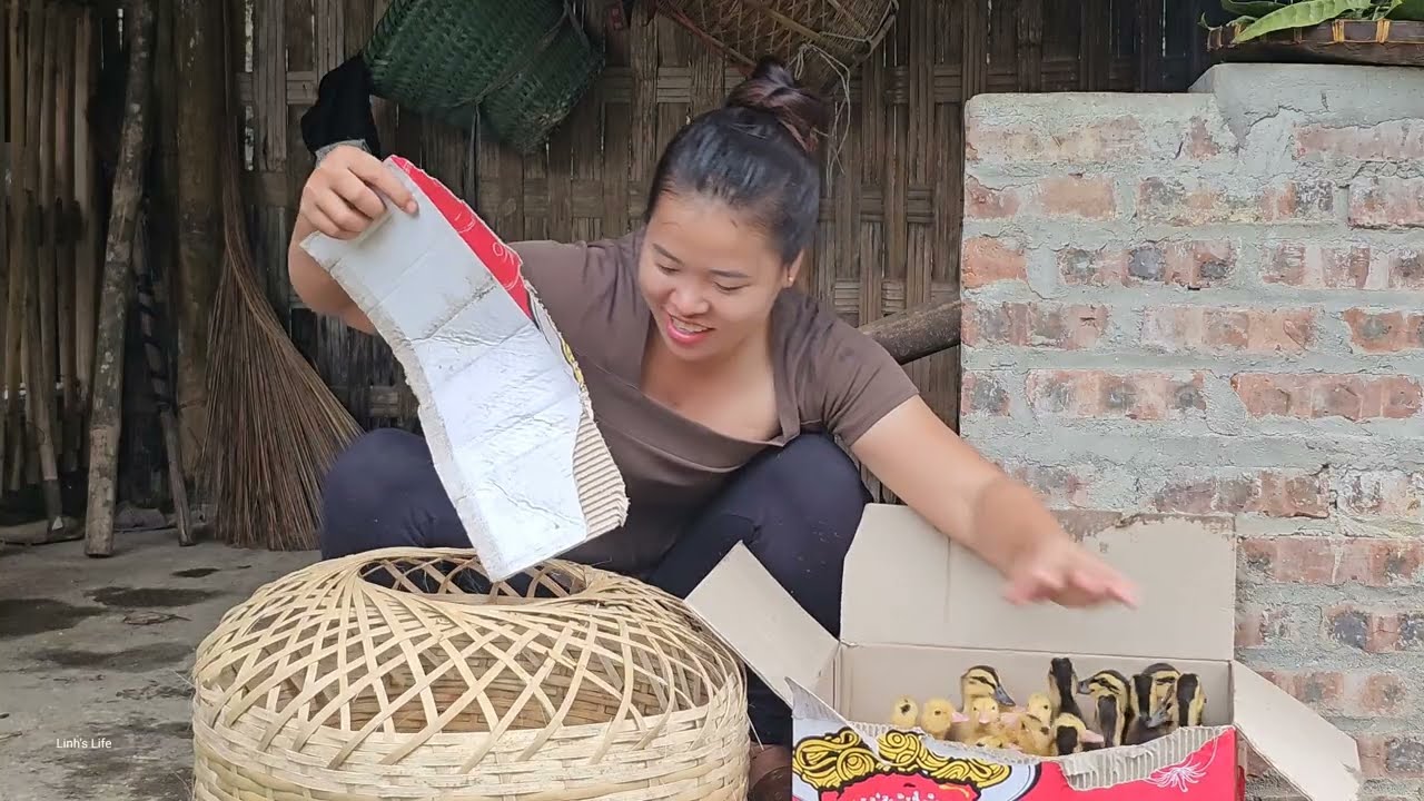 Go to the market to buy ducks to raise, enjoy a delicious meal with my husband - Linh's Life
