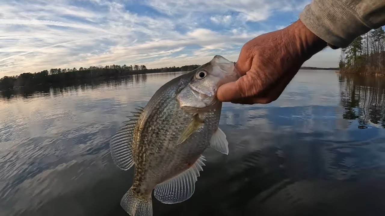 Crappie Fishing Lake Jordan  North Carolina