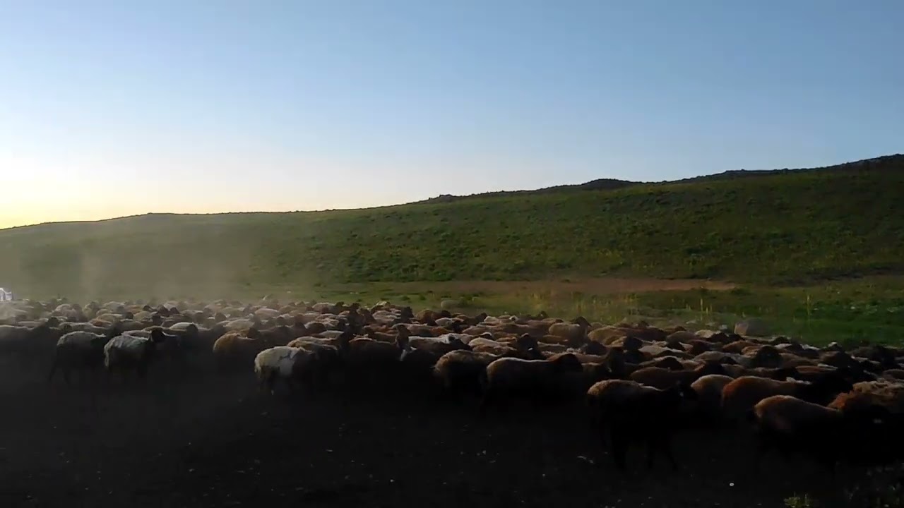 Şerafettin dağındaki, bir akşam üstü,beritanlıların yaylasından bir kaç kare ,