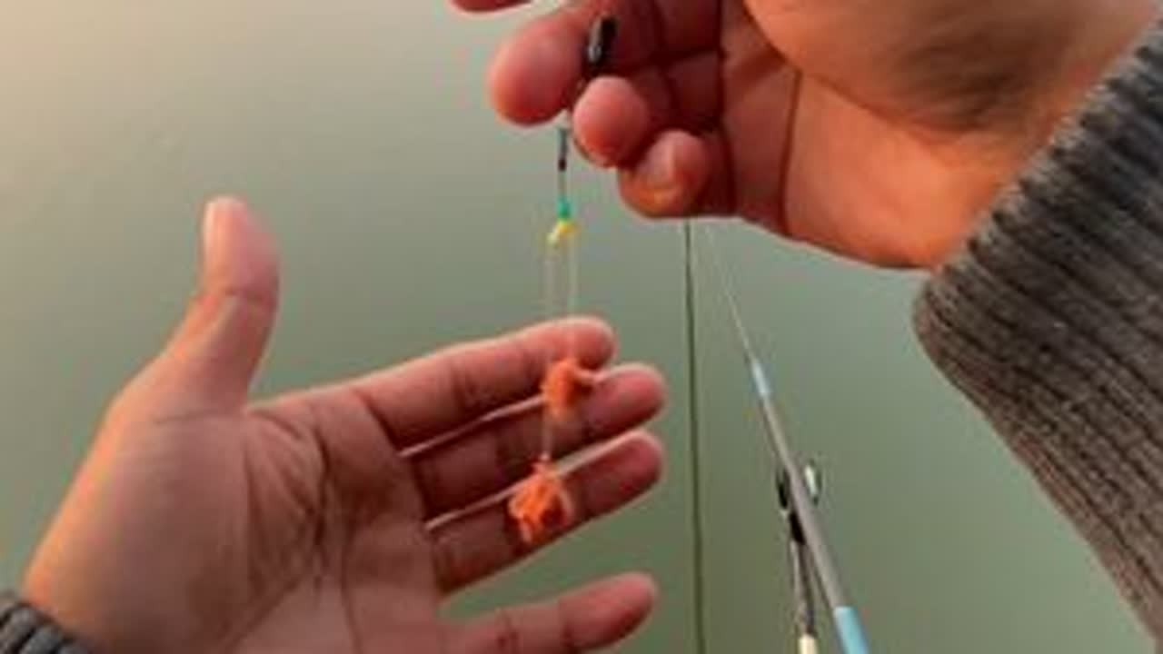 还好没空军！#爱生活爱钓鱼 #钓鱼的乐趣只有钓鱼人懂 #土鲮鱼