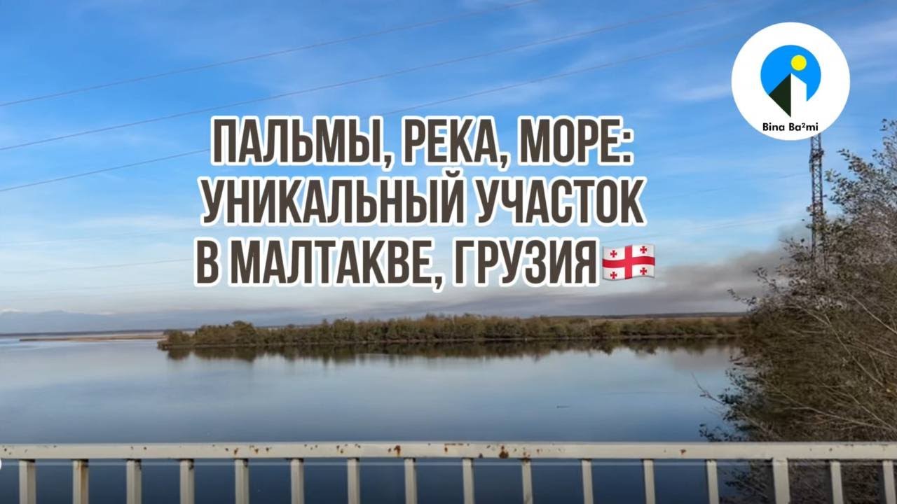 Пальмы, река, море: уникальный участок земли в Малтакве, Грузия