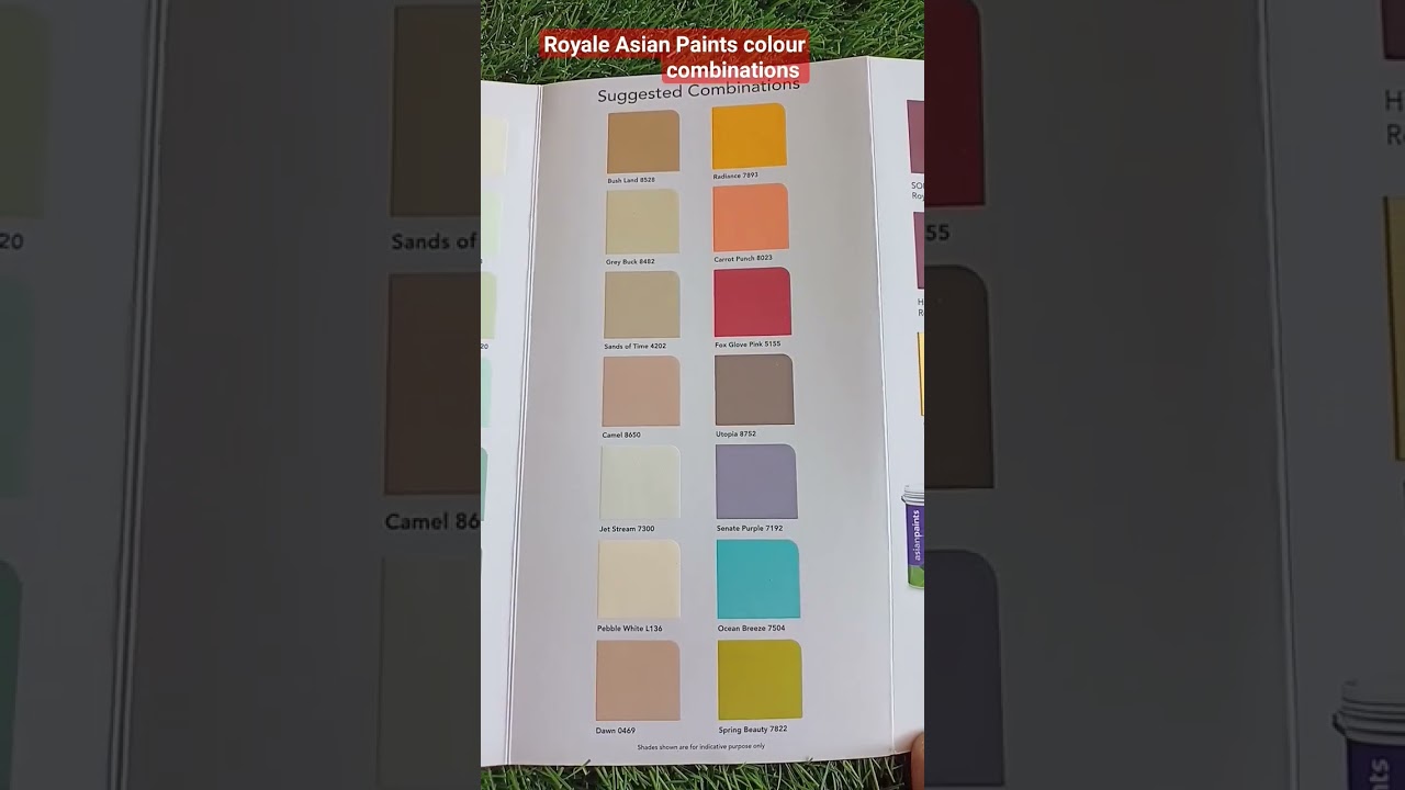 Royale Asian Paints Colour shades Card #shorts
