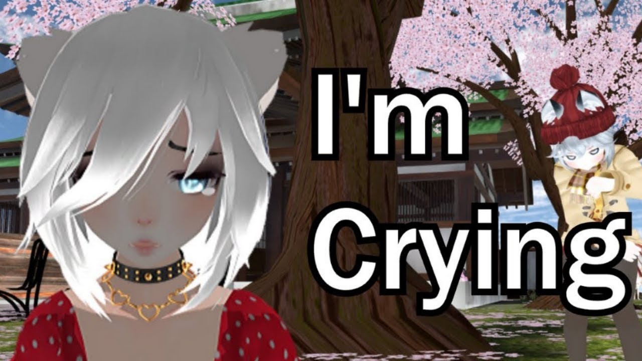 People In VRCHAT Share What Made Them Cry