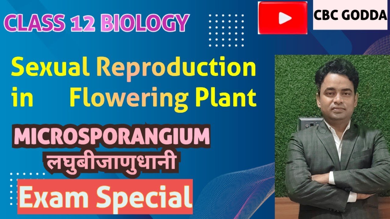 #class12biology #education #exampreparation #jacboardclass12 #jacboard #importantquestion #biology