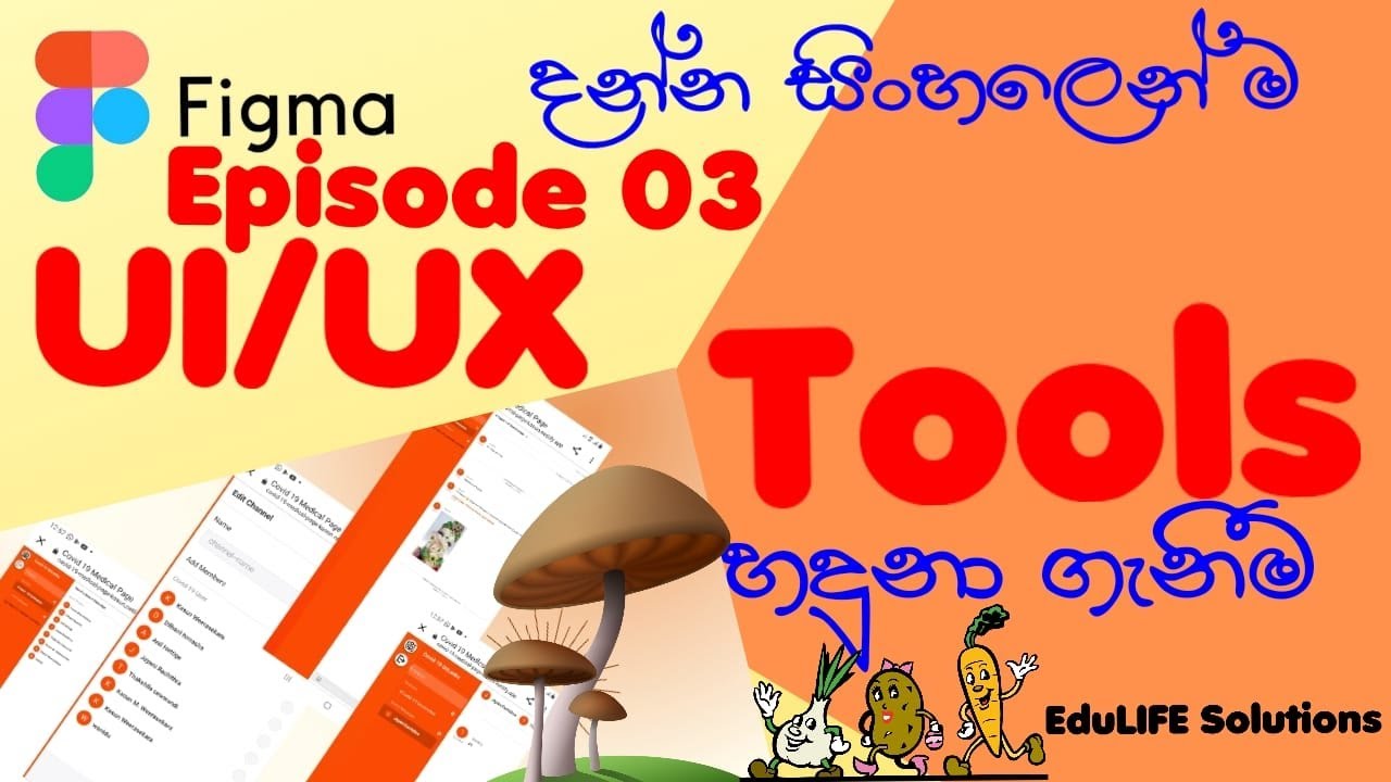 How to Learn UI UX Design | Sinhala | Tools | Episode 03 | EduLIFE Solutions