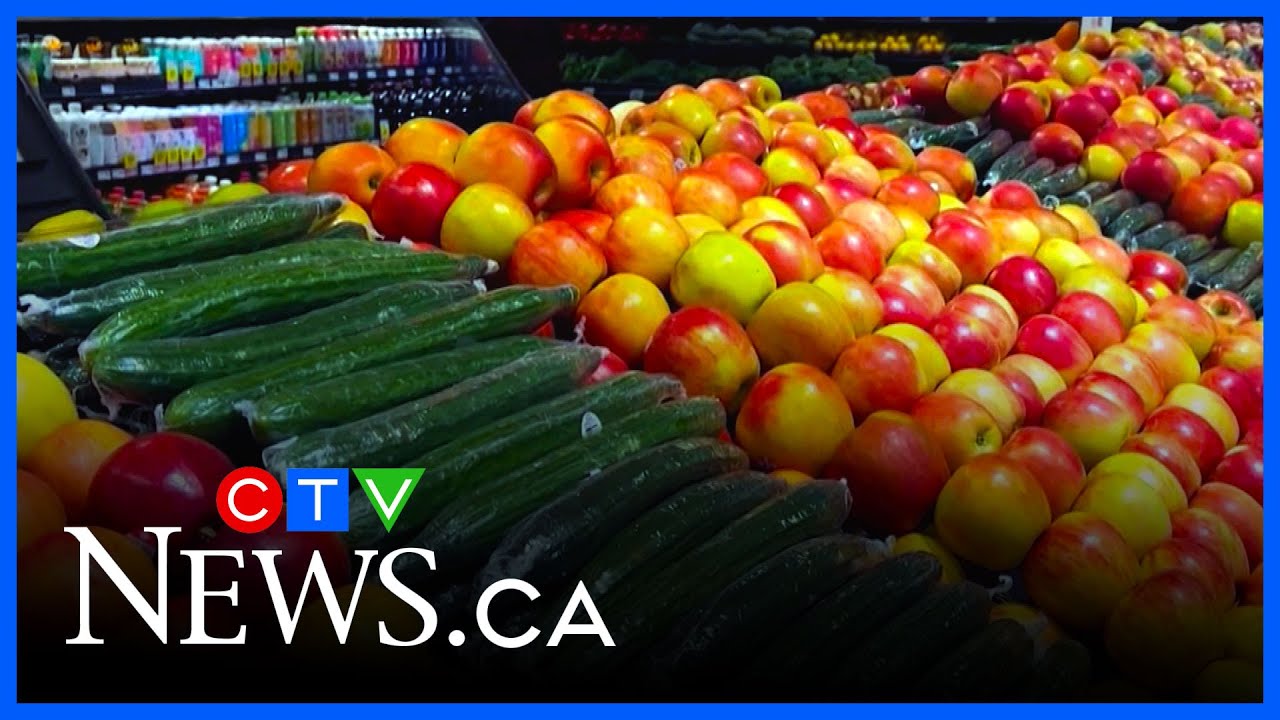 Shoppers say grocery rebate not enough for affordability