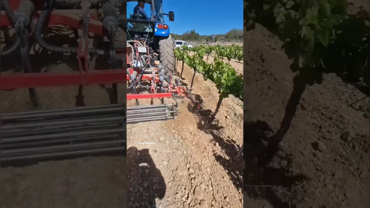 Hydraulic inter-Row Cultivator DAVICULTOR 2.0 || Made By ID-DAVID Spain || #vineyard #cultivator