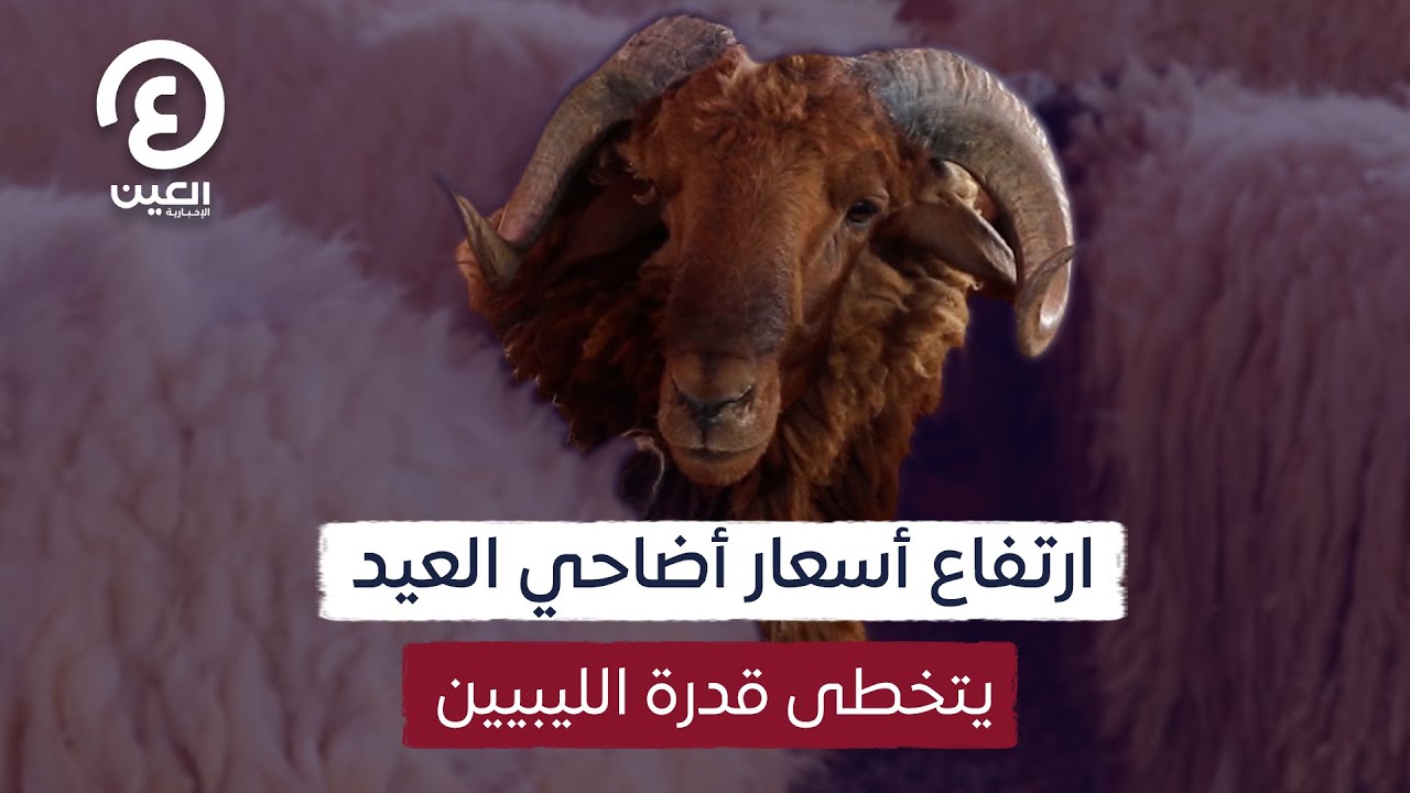 ارتفاع أسعار أضاحي العيد يتخطى قدرة الليبيين