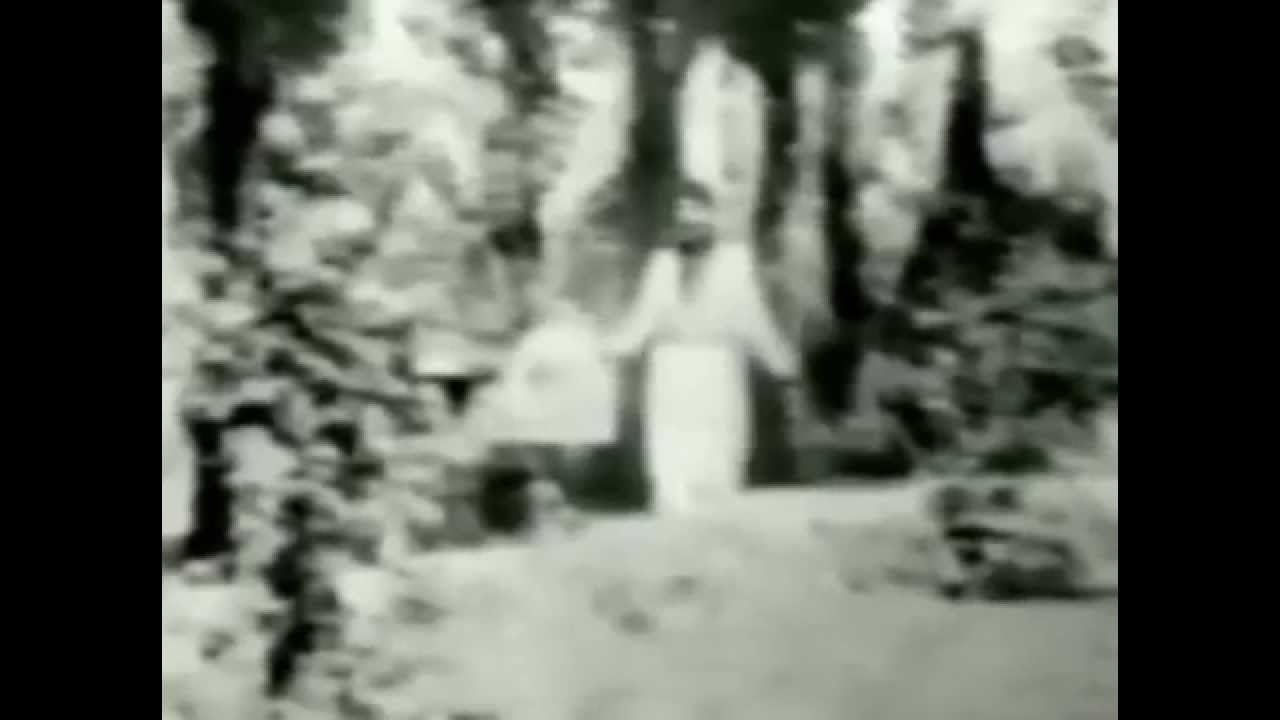 Naser Rezazi - نا سر ره زازی - که تان که تانه